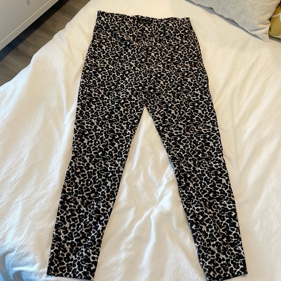 Dynamite business casual leggins - Picture 1 of 2